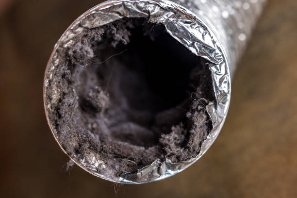 Best Ductwork Cleaning Services  in Otsego, MI